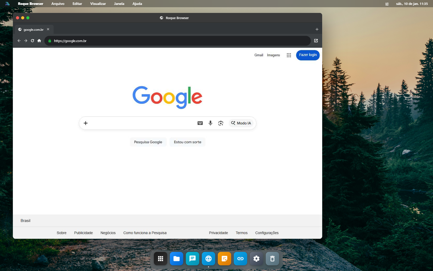 Navegador Remoto acessando o Google