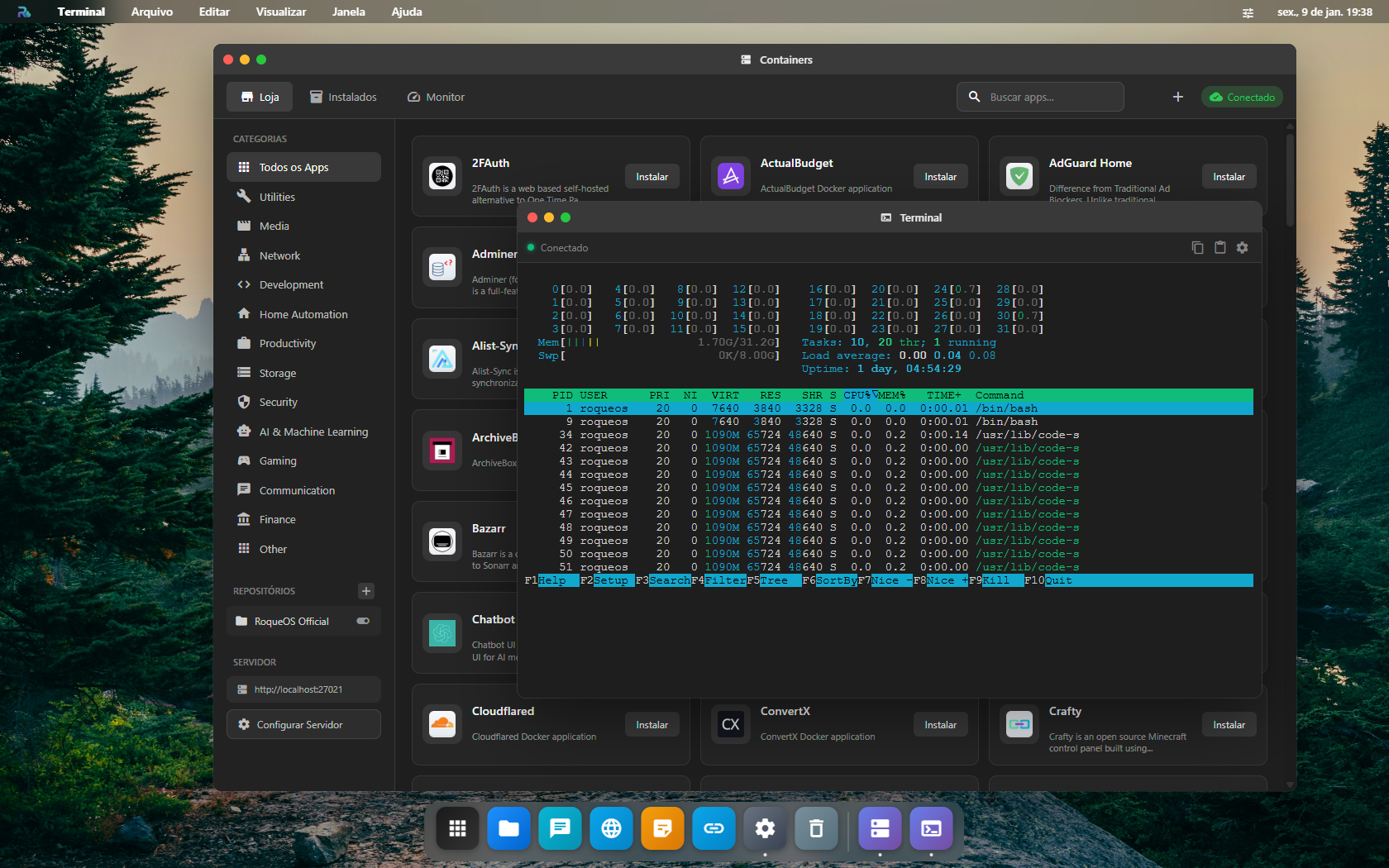 Terminal Linux